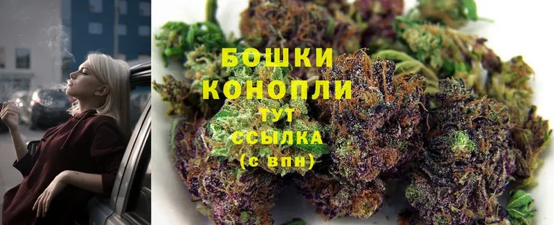 МАРИХУАНА Ganja  наркотики  Белая Холуница 